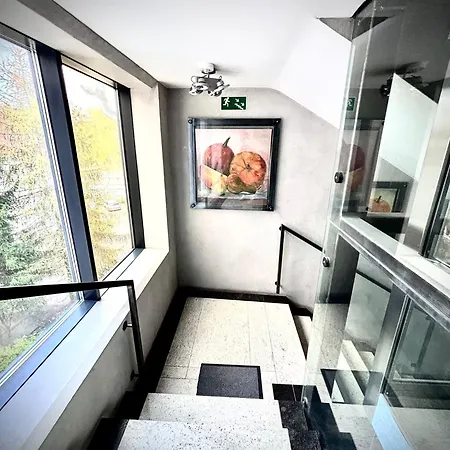 White Glove 1 Maja Centrum